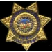 CALIFORNIA DEPARTMENT OF CORRECTIONS LT BADGE PIN